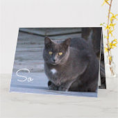 Hello紙ノートカード カード (黄色い花)