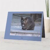 Hello紙ノートカード カード (裏面)