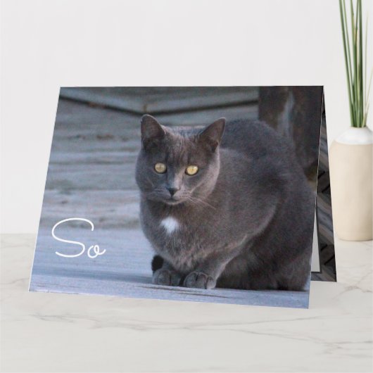 Hello紙ノートカード カード (正面)