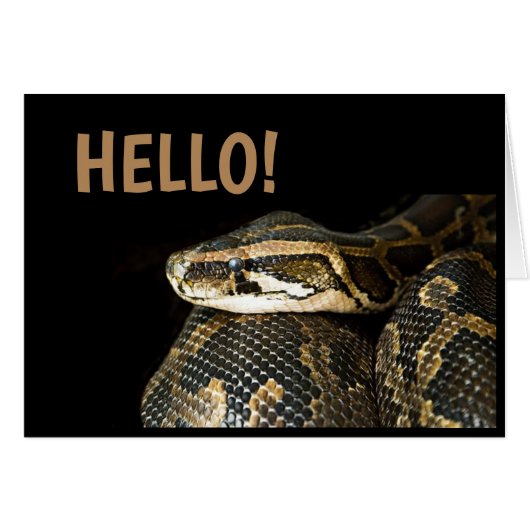 "HELLO"/ ヘビ、無地のグリーティングカード (正面横)