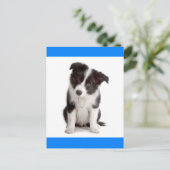 Hello 縁ど Collieパピー犬グリーティングポストカード ポストカード (スタンド正面)
