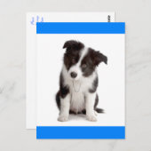 Hello 縁ど Collieパピー犬グリーティングポストカード ポストカード (正面/裏面)