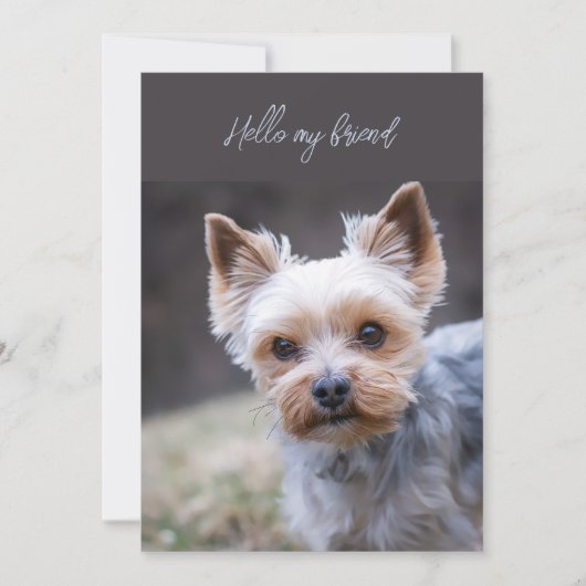 Hello 考え's of You Terrier Greeting Card 招待状 (正面)