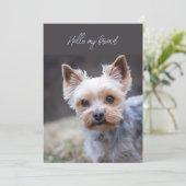 Hello 考え's of You Terrier Greeting Card 招待状 (スタンド正面)