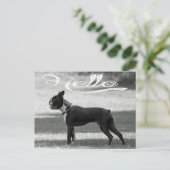 Hello Boston Terrier Puppy Dog Greeting Post Card ポストカード (スタンド正面)