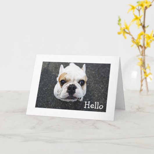 Hello Bulldog Greeting Card - Verse カード (黄色い花)