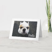Hello Bulldog Greeting Card - Verse カード (正面)