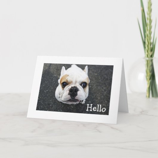 Hello Bulldog Greeting Card - Verse カード (正面)