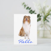 Hello Collie Pupy Doの挨拶はがき ポストカード (スタンド正面)