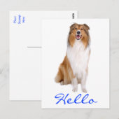Hello Collie Pupy Doの挨拶はがき ポストカード (正面/裏面)