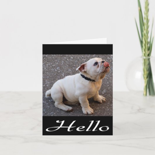 Hello English Bulldog Pupy Dogノ空白のートカード カード (正面)