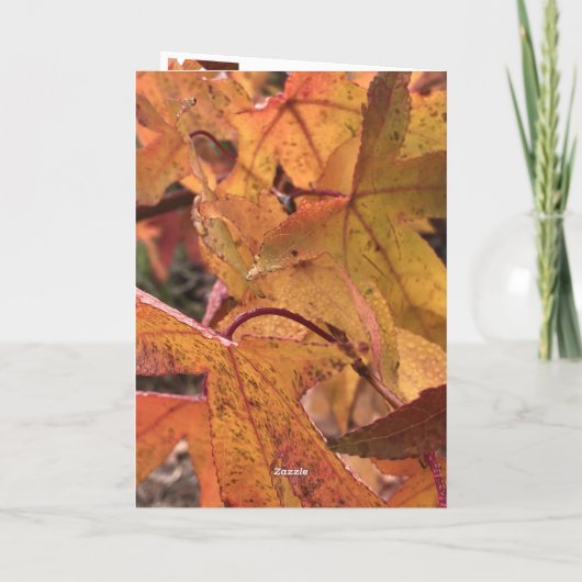"Hello Fall!" Greeting Card カード (裏面)