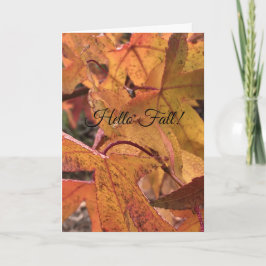 "Hello Fall!" Greeting Card カード