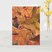 "Hello Fall!" Greeting Card カード (黄色い花)