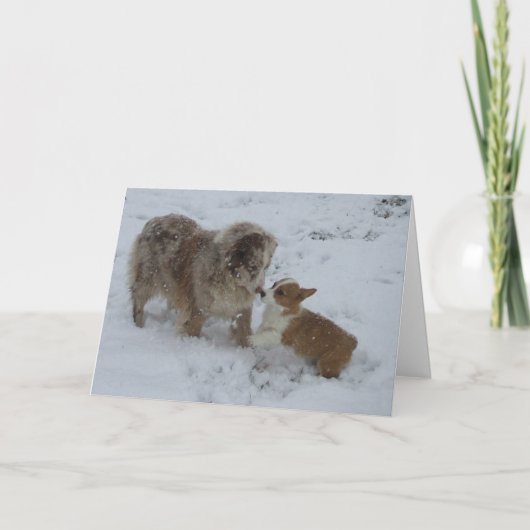 Hello Friendのグリーティングカード カード (正面)