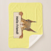 Hello Friend おもしろい Squirrel シェルパブランケット (正面)