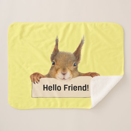 Hello Friend おもしろい Squirrel シェルパブランケット (正面(横))
