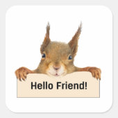 Hello Friend おもしろい Squirrel スクエアシール (正面)