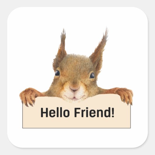 Hello Friend おもしろい Squirrel スクエアシール (正面)