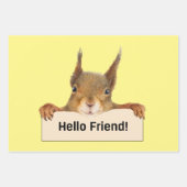 Hello Friend おもしろい Squirrel ラッピングペーパーシート (正面)