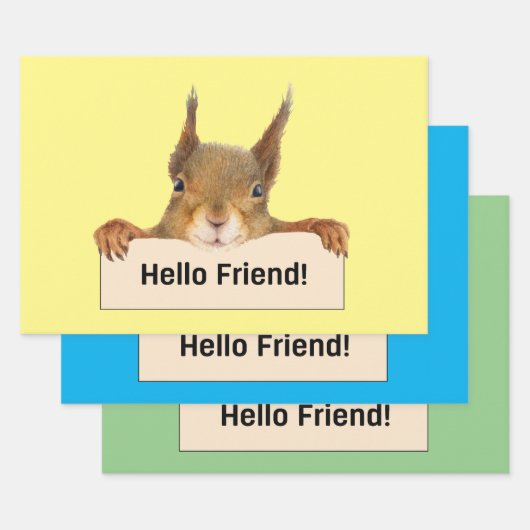 Hello Friend おもしろい Squirrel ラッピングペーパーシート (セット)