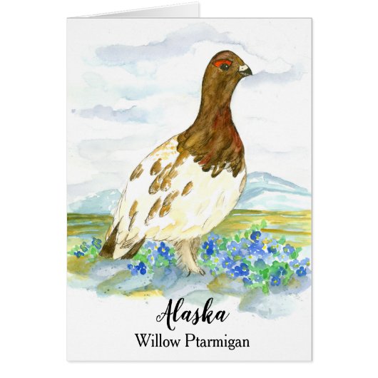 Hello From Alaska Willow Ptarmigan 空白の (正面)