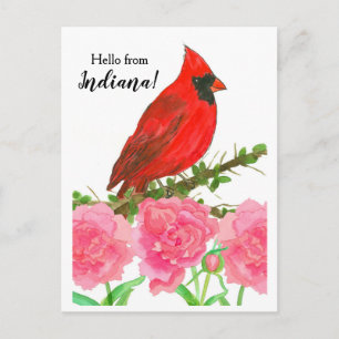 Hello from Indiana Redオス（鳥）ショウジョウコウカンチョウバード ポストカード