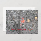 Hello from  Michigan ポストカード (正面/裏面)