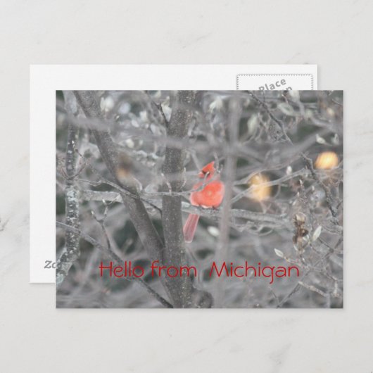 Hello from  Michigan ポストカード (正面/裏面)