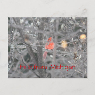 Hello from  Michigan ポストカード