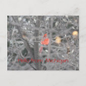 Hello from  Michigan ポストカード (正面)