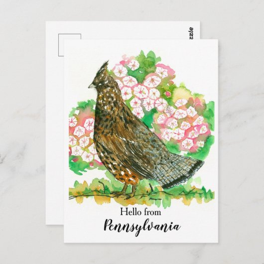 Hello from Pennsylvania Ruffed Grouse Bird ポストカード (正面/裏面)