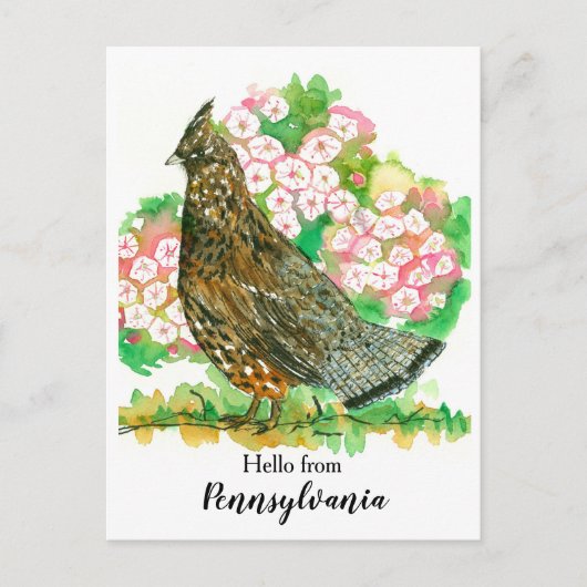 Hello from Pennsylvania Ruffed Grouse Bird ポストカード (正面)