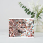 Hello From Tokyo美しい桜花 ポストカード (スタンド正面)