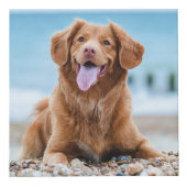 Hello Goodbye パーソナライズされた Dog Pet記念写真 フォトキューブ (正面)