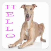 Hello Greyhound子犬 スクエアシール (正面)