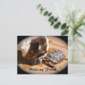 Hello my Friend Post card ポストカード (スタンド正面)