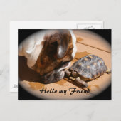 Hello my Friend Post card ポストカード (正面/裏面)