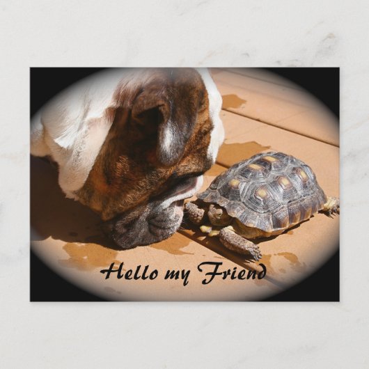 Hello my Friend Post card ポストカード (正面)