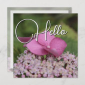 Hello naissance souhaiter bienvenue saluer rose ノートカード (正面/裏面)