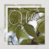 Hello naissance souhaiter bienvenue saluer vert ノートカード (正面/裏面)