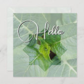 Hello naissance souhaiter bienvenue saluer vert ノートカード (正面/裏面)