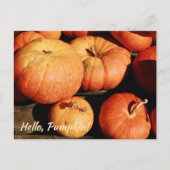 Hello, Pumpkin! シーズンポストカード (正面)