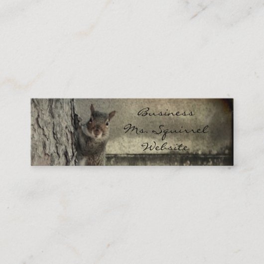 Hello Squirrel スキニー名刺 (正面)