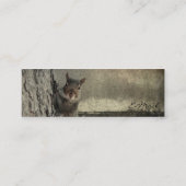 Hello Squirrel スキニー名刺 (裏面)