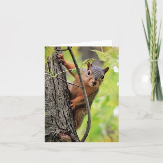 Hello Thereノートカード シーズンカード (正面)