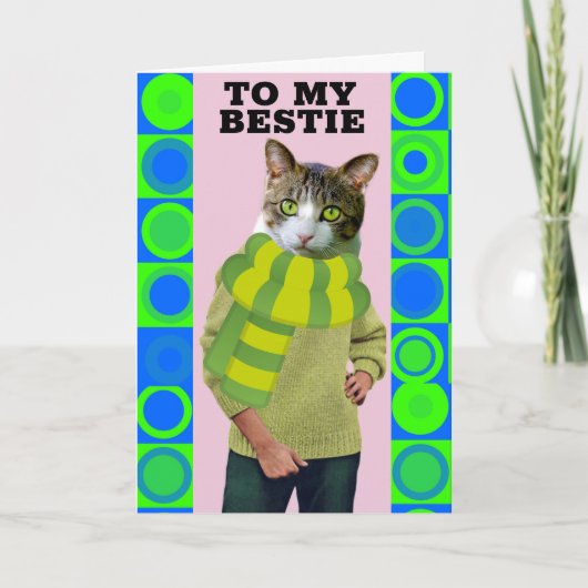 HELLO TO BEST FRIEND FUNNY CAT GREETING CARD カード (正面)