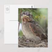 Hello Worldはがき ポストカード (正面/裏面)