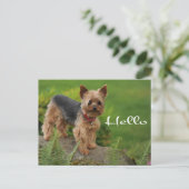 Hello Yorkshire Terrier Puppy Dog Post Card ポストカード (スタンド正面)