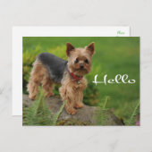 Hello Yorkshire Terrier Puppy Dog Post Card ポストカード (正面/裏面)